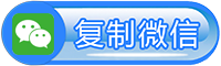 投票系统